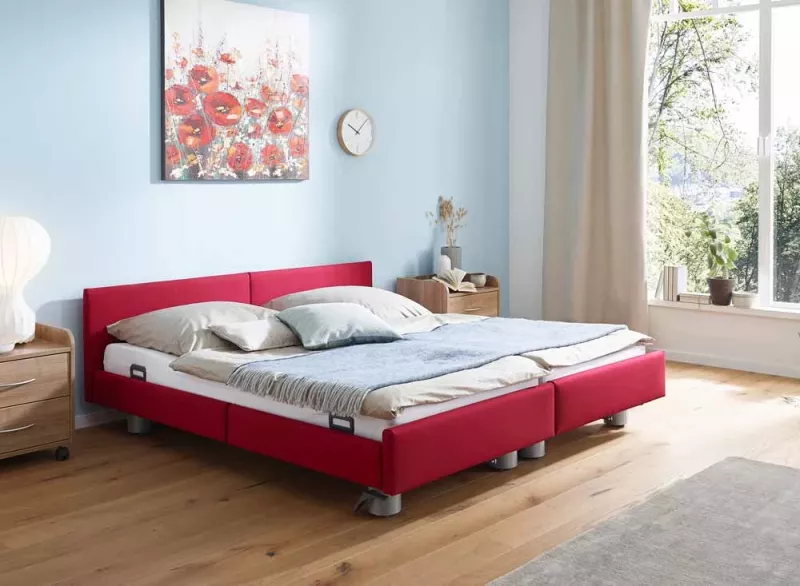 Naar boven Verstikkend Score Zorgbed Burmeier Regia Partner - bedden en toebehoren - comfortabel slapen  - comfort in huis - Goed thuiszorgwinkel